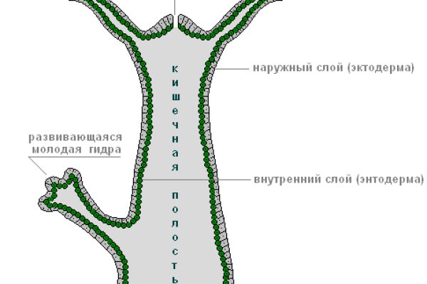 Кракен at сегодня работает ли