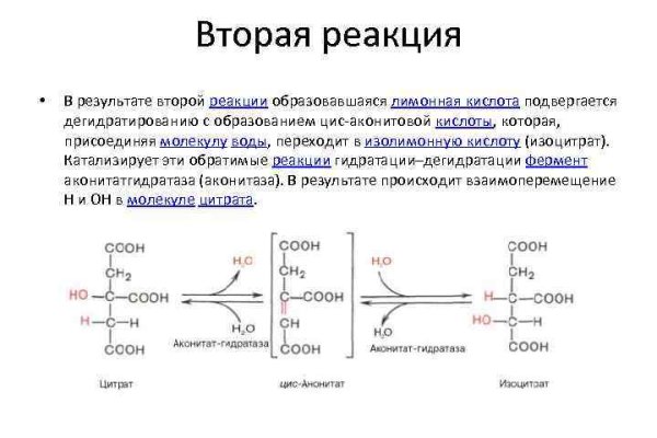 Кракен сайт маркетплейс