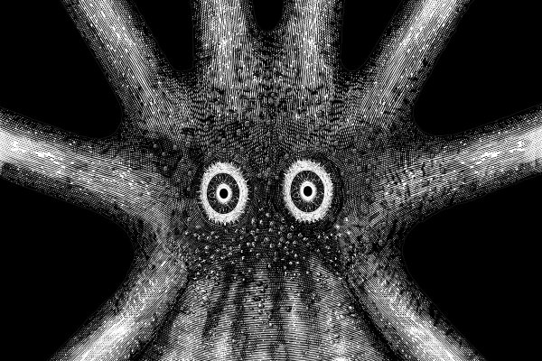 Kraken официальный сайт ссылка