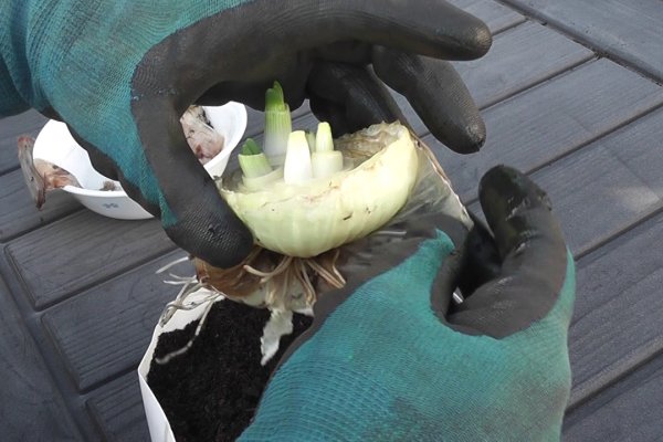 Как вывести с кракена