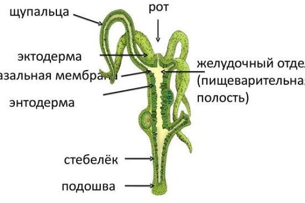 Кракен сайт работает